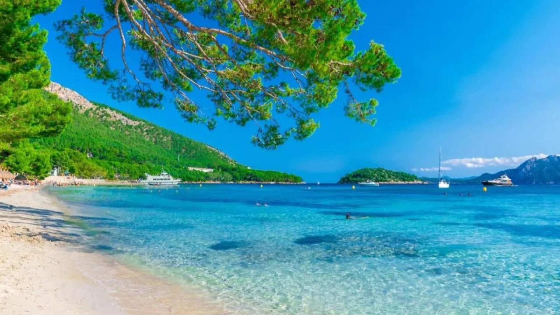 Appartement Seafront Apartment, 200M From Beach Port d'Alcúdia Espagne
